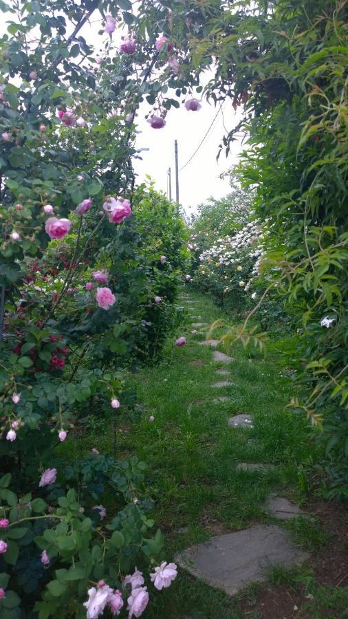 B&B Villa Giardini Susanna Gattico 외부 사진