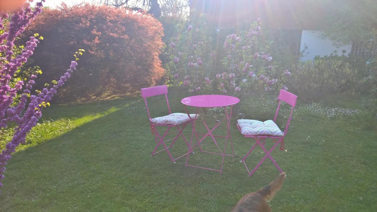 B&B Villa Giardini Susanna Gattico 외부 사진