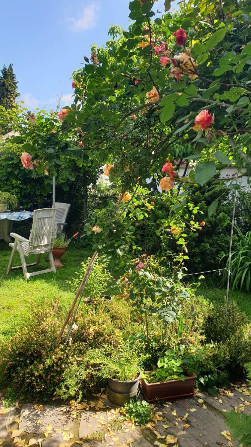 B&B Villa Giardini Susanna Gattico 외부 사진