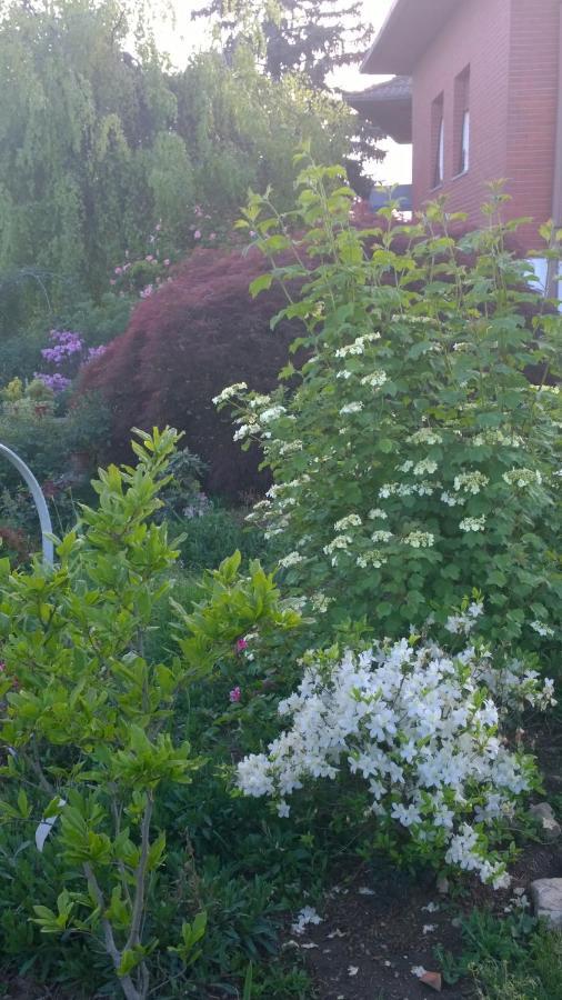 B&B Villa Giardini Susanna Gattico 외부 사진