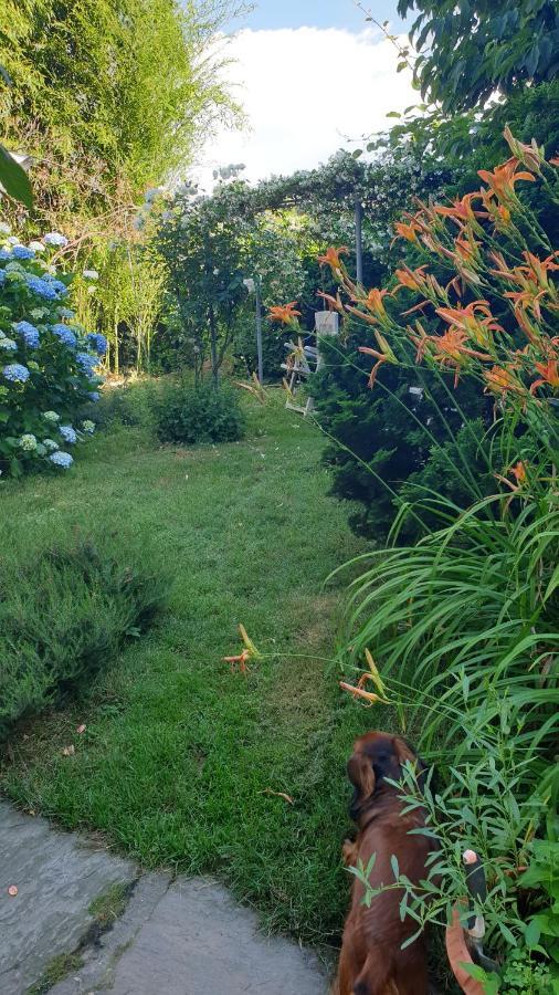 B&B Villa Giardini Susanna Gattico 외부 사진