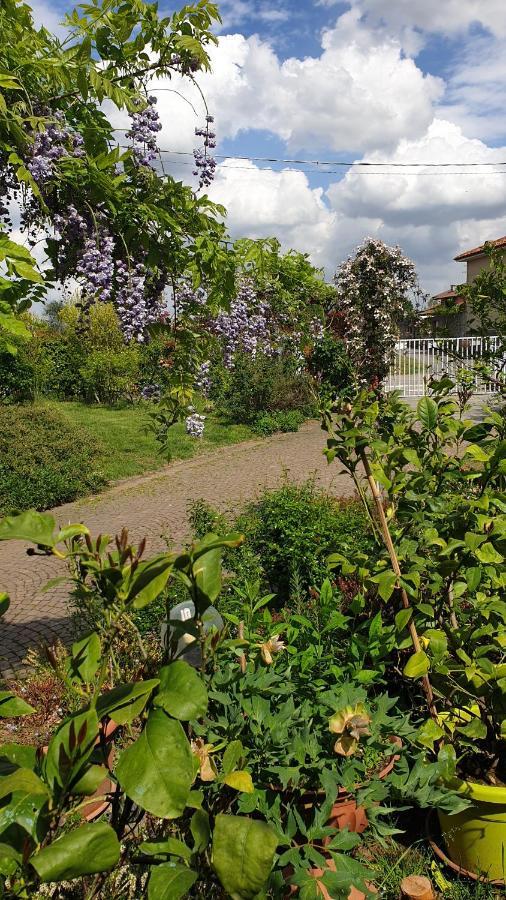 B&B Villa Giardini Susanna Gattico 외부 사진