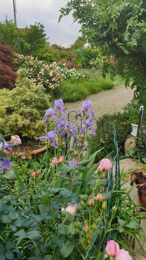 B&B Villa Giardini Susanna Gattico 외부 사진