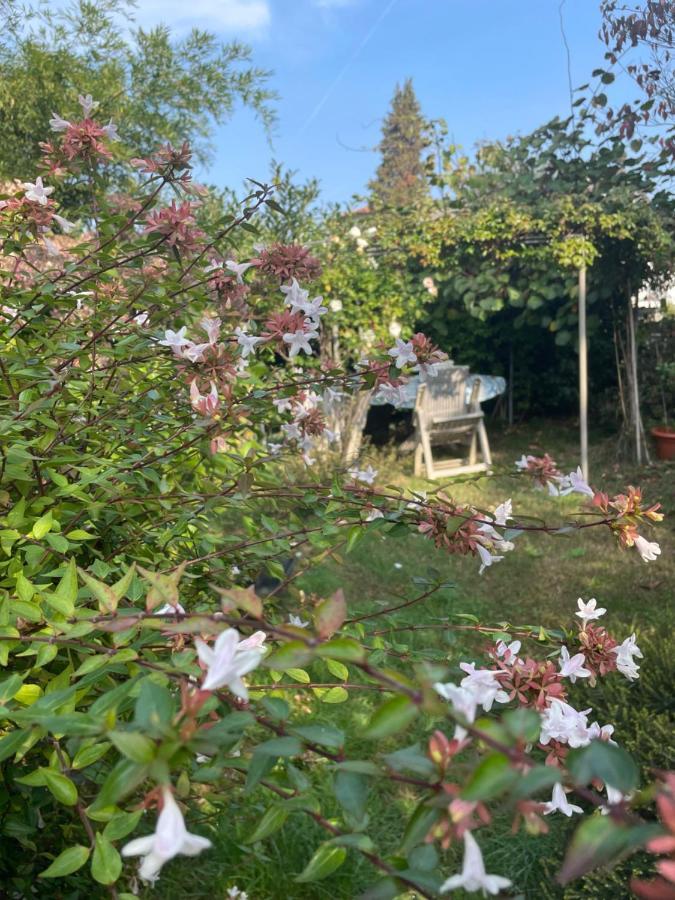 B&B Villa Giardini Susanna Gattico 외부 사진
