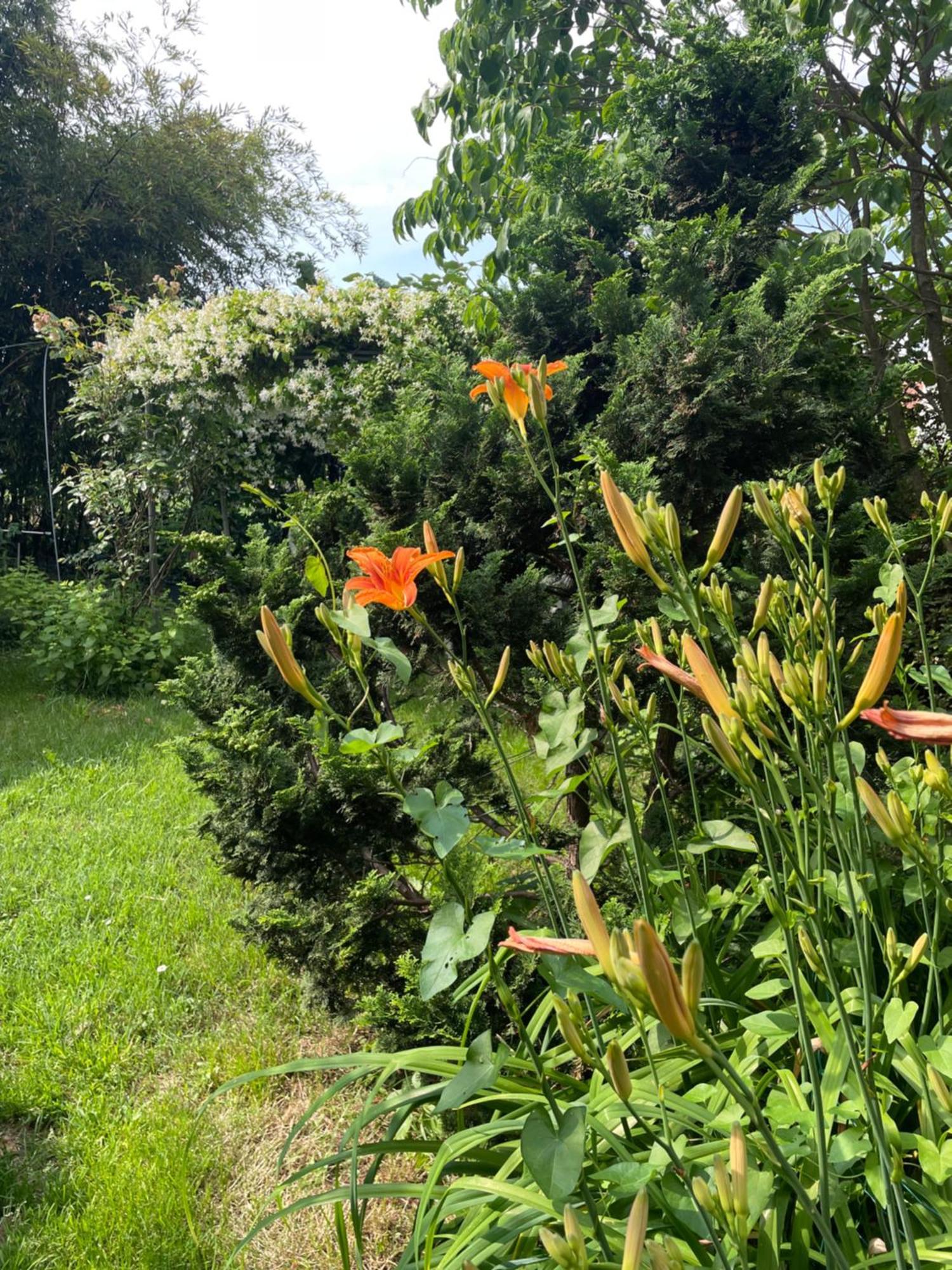 B&B Villa Giardini Susanna Gattico 외부 사진