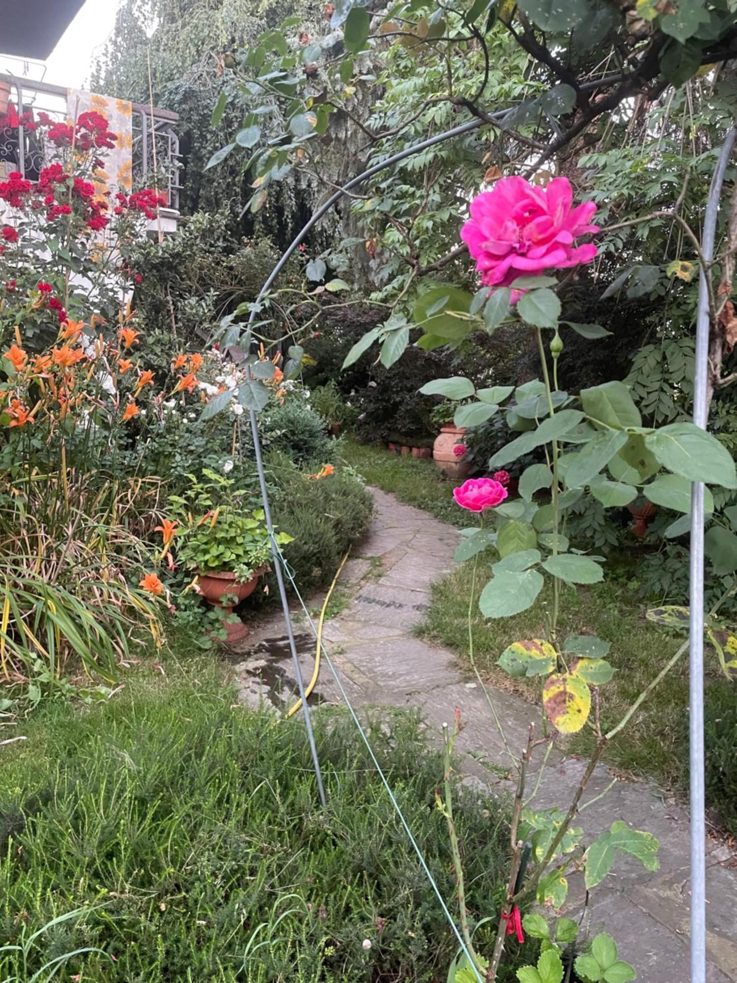 B&B Villa Giardini Susanna Gattico 외부 사진